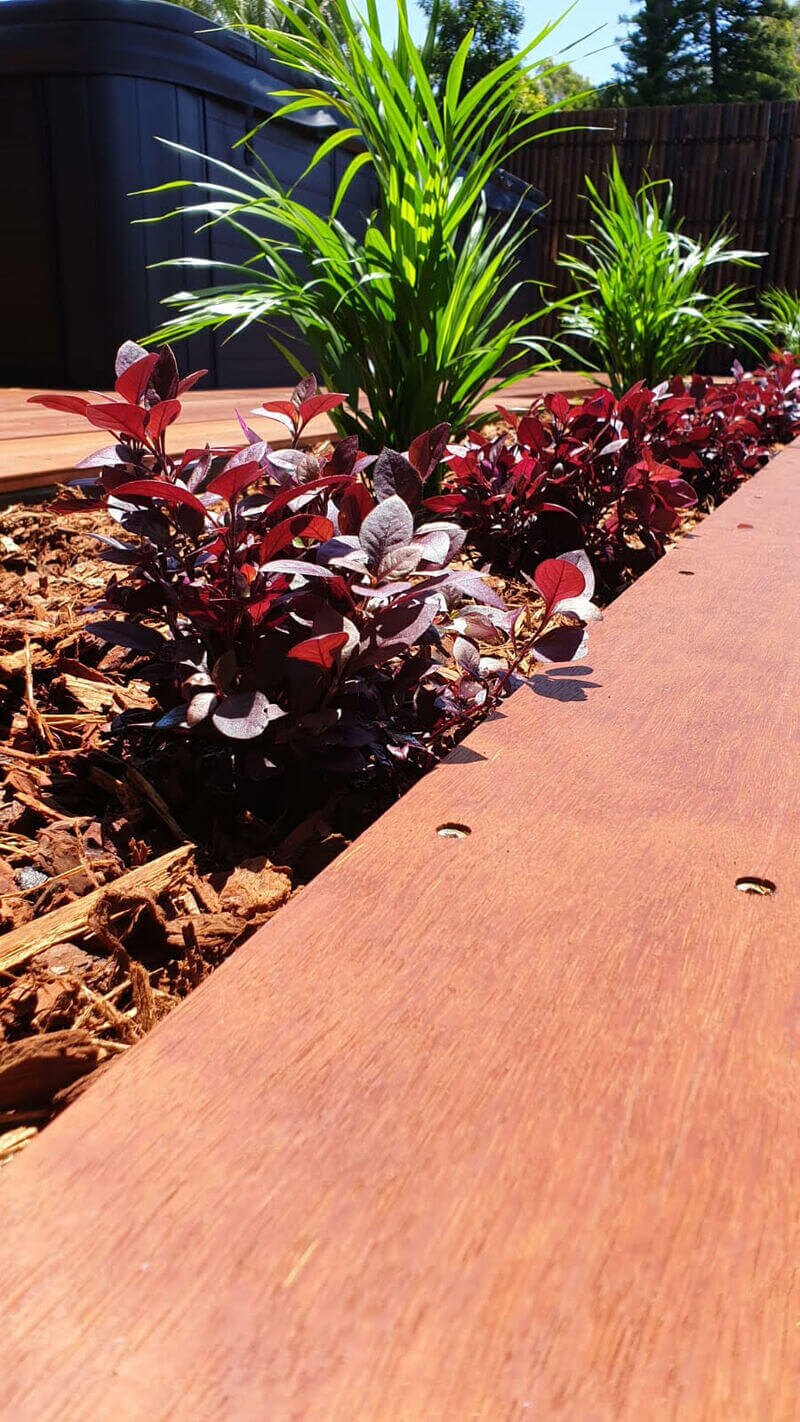 Colourful border planting beside a timber deck