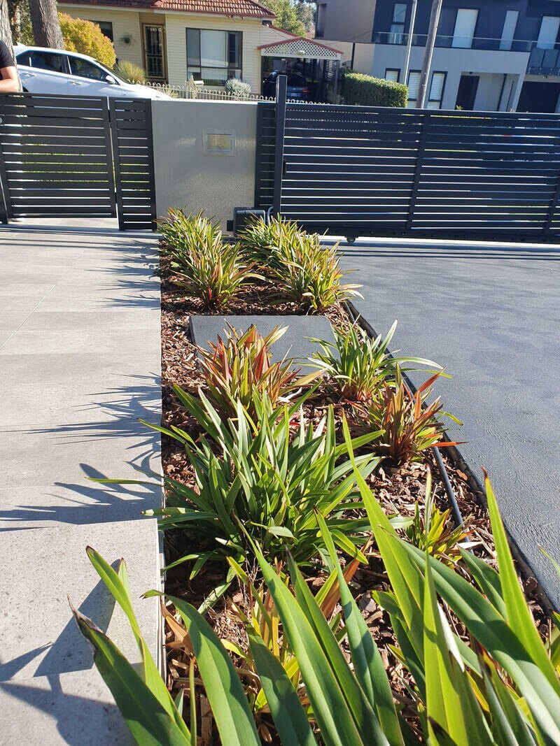 Driveway border with layered tropical planting