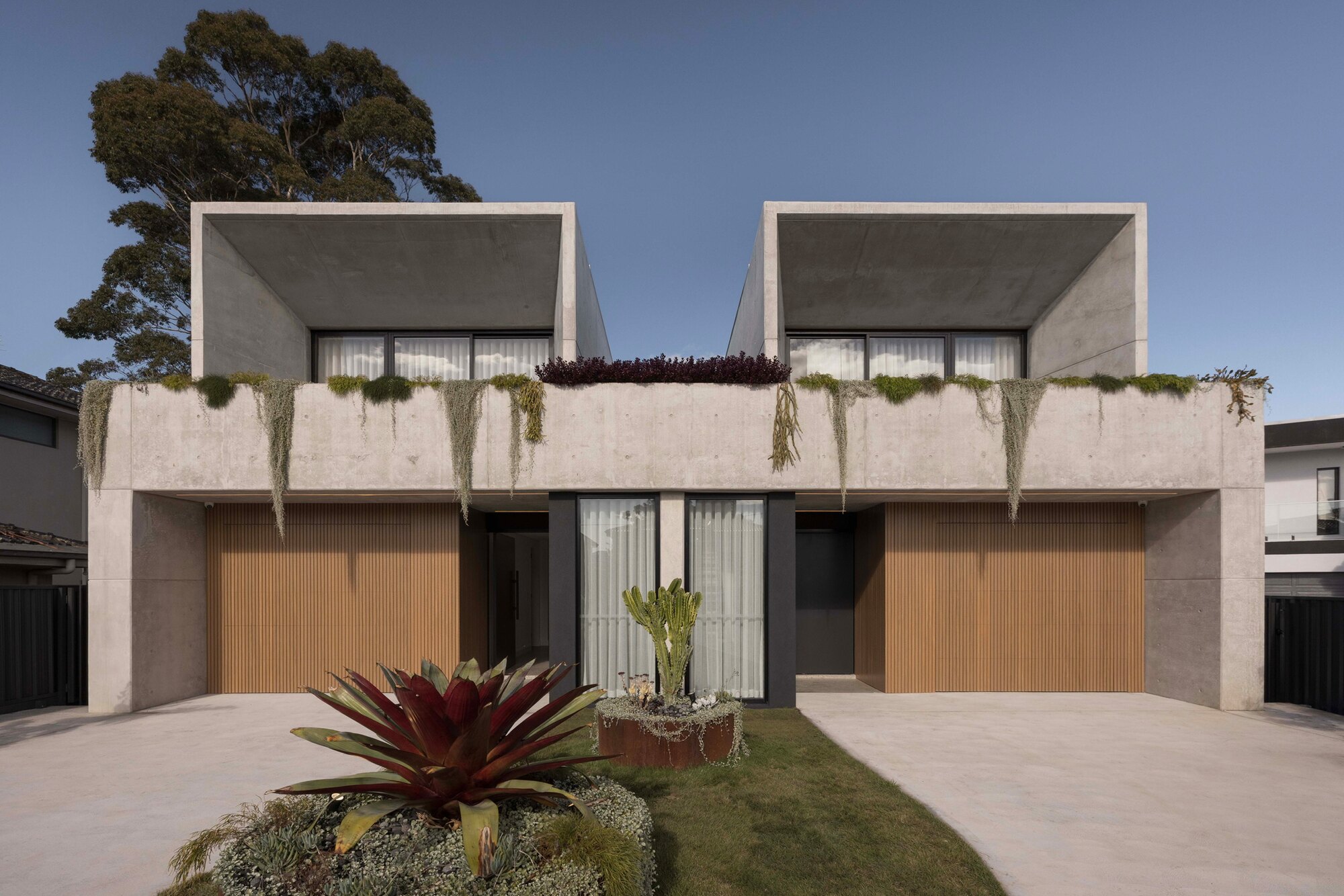Modern duplex front landscaping with sculptural planting