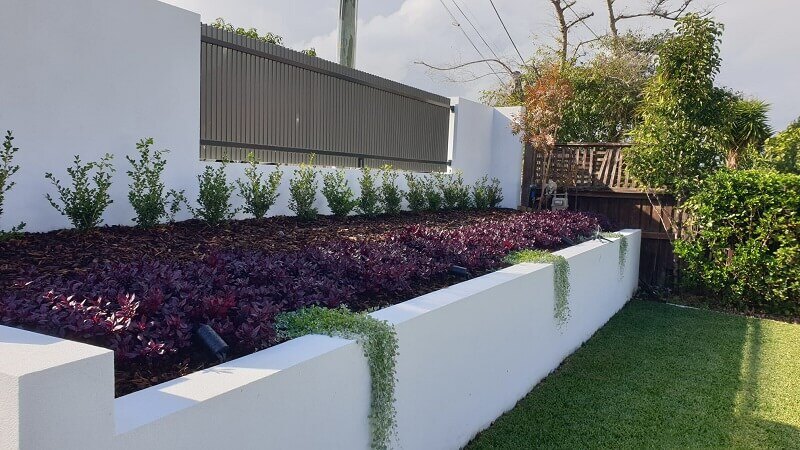 Rendered garden beds with contrasting purple foliage