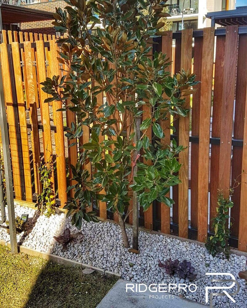 Garden planting beside a timber privacy screen